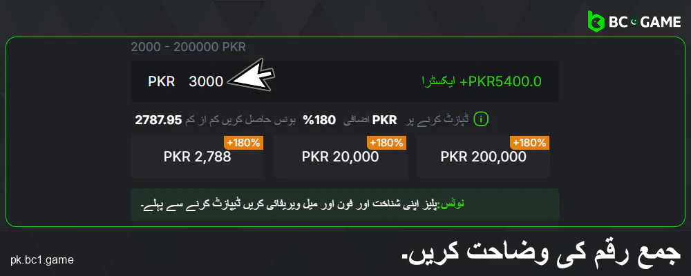 BC.Game پاکستان میں ڈپازٹ کی رقم درج کریں