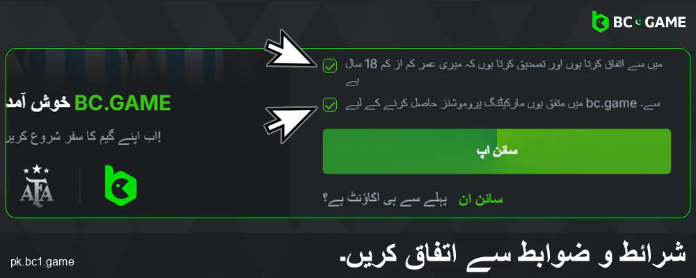 BC.Game پاکستان ویب سائٹ کی شرائط سے اتفاق کریں