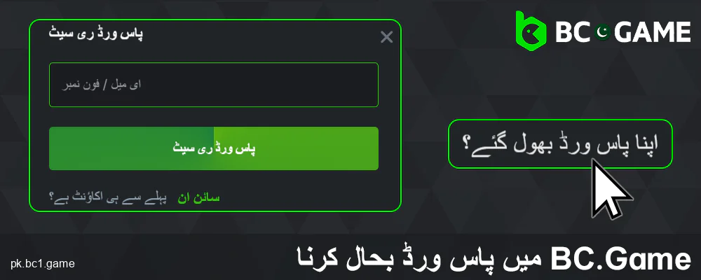 BC.Game پاکستان میں پاس ورڈ کو اپڈیٹ کریں